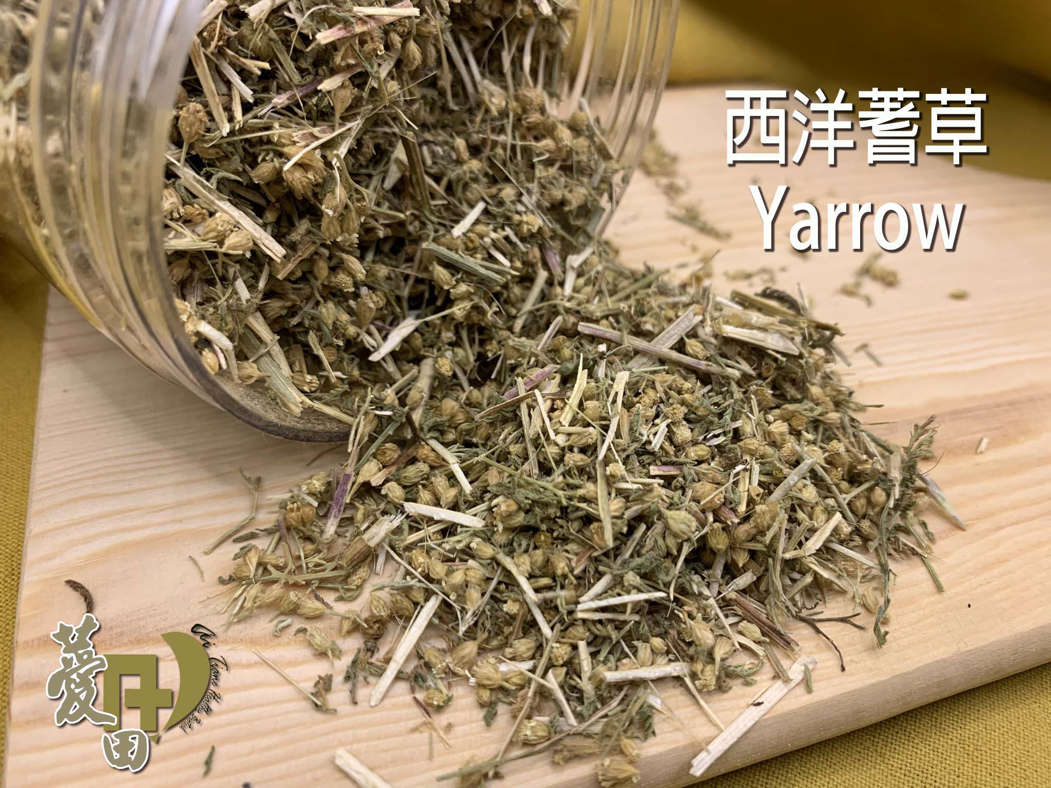 {薆田} 西洋蓍草 Yarrow 乾燥花草 西洋蓍草純露 手工皂用 浸泡油材料 西洋花草茶飲