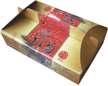 【漁民食堂】港式蘿蔔糕禮盒(中/4.5台斤)