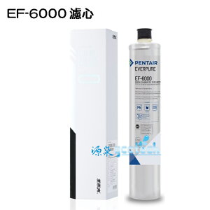 EVERPURE愛惠浦EF-6000濾芯台灣愛惠浦公司貨濕式碳纖活性碳EF6000濾心