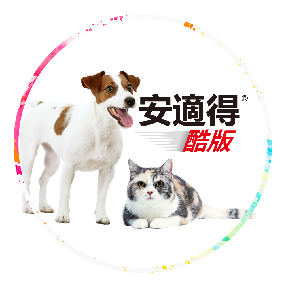 Antinol 安適得 酷版 60顆 雷標防偽 關節保養 關節保健 心臟 心血管保健 皮膚保健 魚油 2