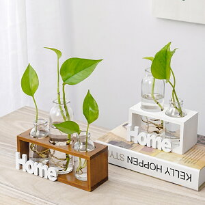 ins簡約木質水培玻璃花瓶水培植物透明插花花器客廳家居裝飾擺件