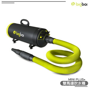 【原廠供應】bigboi 寵物乾燥吹風機 MINI PLUS+ 吹水機 乾燥吹風機 寵物美容 寵物吹毛 寵物吹水機