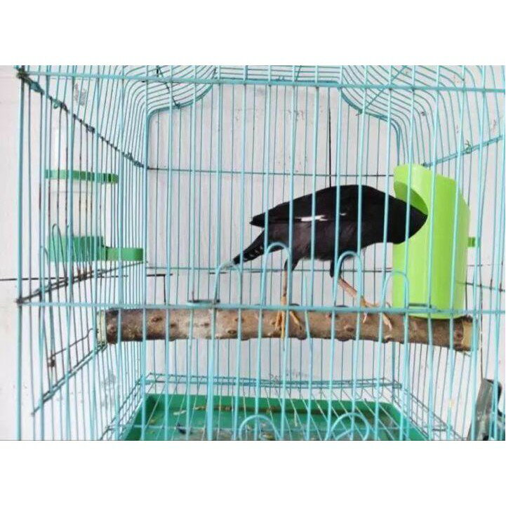 鸚鵡八哥 食盆食盒水盆 鳥用防灑防濺 內掛外掛食槽 合美健蛋黃粟食盒【現貨】 3