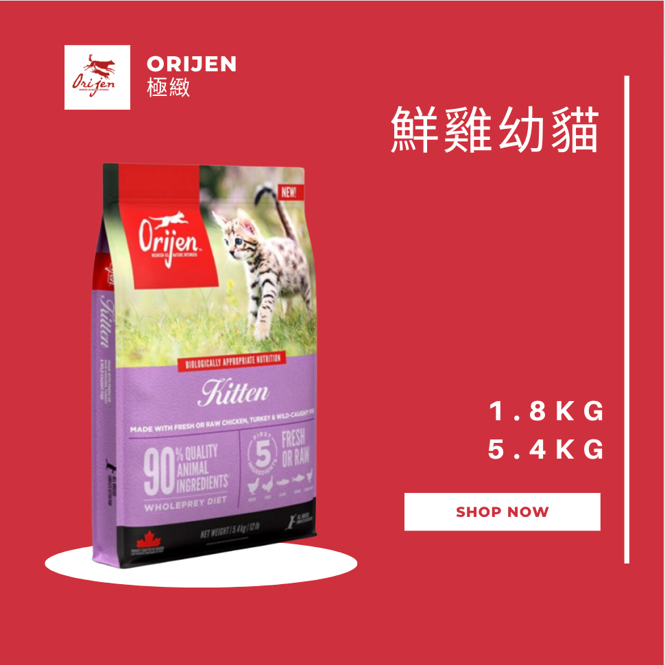 Orijen極緻 鮮雞幼貓無穀配方 1.8KG 5.4KG