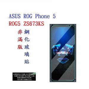 【促銷 高硬度】ASUS ROG Phone 5/ROG5 ZS673KS 6.78吋 非滿版9H玻璃貼 鋼化玻璃