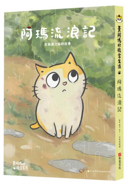 黃阿瑪的後宮生活 阿瑪流浪記：在相遇之前的故事【城邦讀書花園】