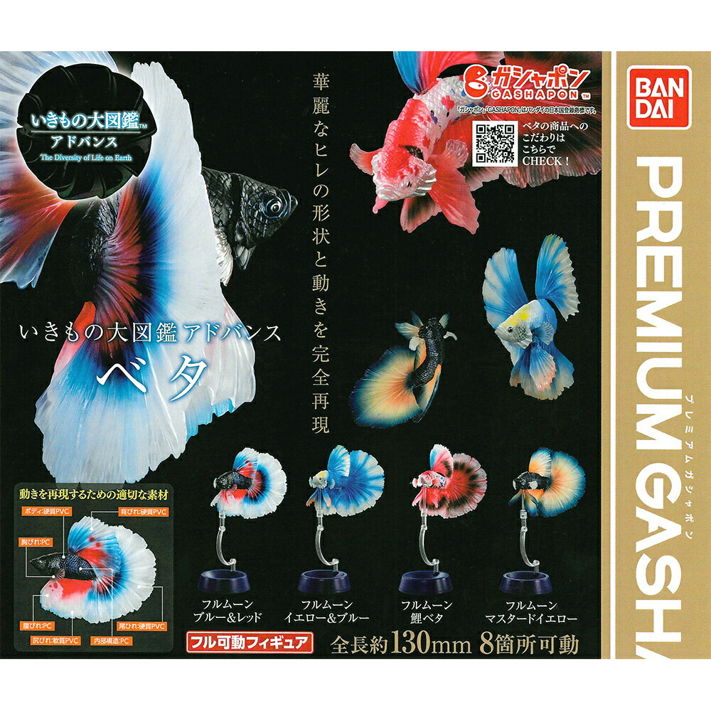 全套4款【日本正版】生物大圖鑑 進擊 鬥魚 扭蛋 轉蛋 熱帶魚 半月鬥魚 動物模型 BANDAI 萬代 - 022615