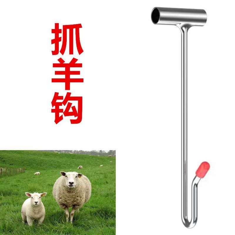 台灣公司貨 免運 可開票 羊頭固定架剪羊毛架子升降羊用固定器打針保定架擠羊奶推毛羊籠頭 3
