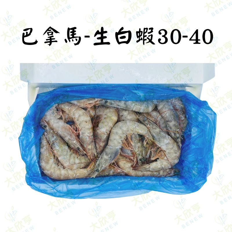 #2 巴拿馬活凍生白蝦30-40【每盒700公克】《大欣亨》B211039