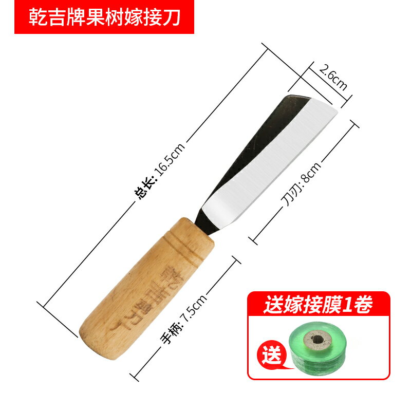 嫁接刀 修花剪 修枝刀 果樹嫁接刀苗木專用接樹刀園藝芽接刀盆景高階特種鋼專業手工刀具『cyd20283』