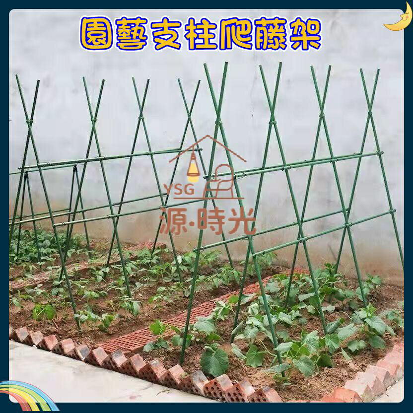 免運 豆角黃瓜架子種菜陽臺爬藤支架花園藤蔓植物牽引架庭院葡萄架戶外 特價出 可開發票