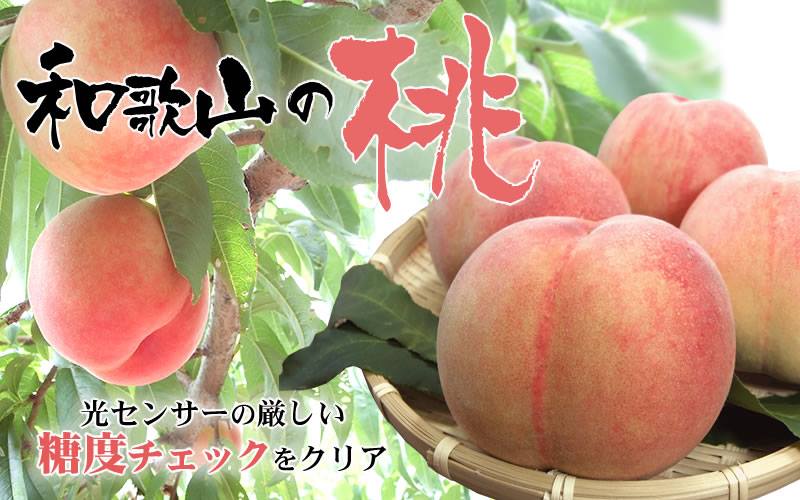 【緁迪水果JDFruit 高級水果店】現貨+預購-日本和歌山縣頂級水蜜桃禮盒(約4kg/箱) 2