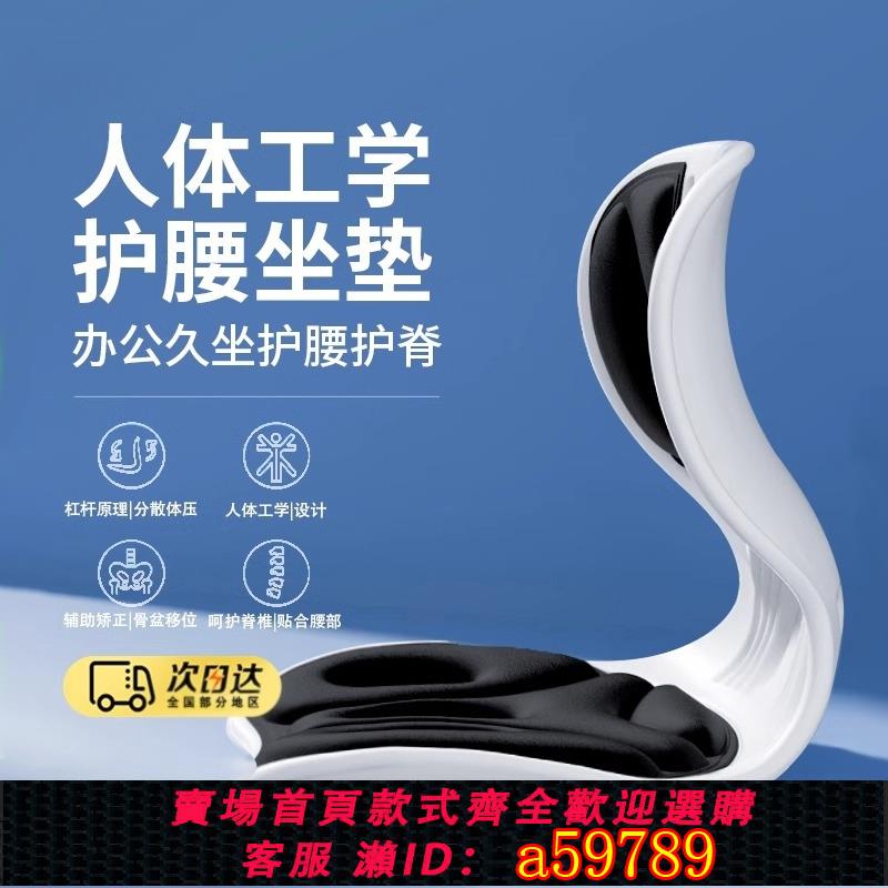【臺灣公司 可打統編】人體工學護腰坐墊椅子辦公室工位久坐神器腰部支撐拖靠背靠墊一體