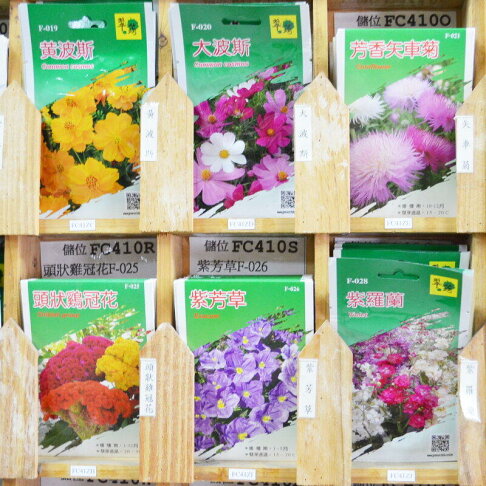花卉種子 雛菊 康乃馨 香雪球 千鳥草 勳章菊 西洋石竹 大花滿天星 Fc410 123便利屋 Rakuten樂天市場 123便利屋 花卉種子 雛菊 康乃馨 香雪球 千鳥草 勳章菊 西洋石竹 大花滿天星 Fc410 123便利屋 Rakuten樂天市場 123便利屋
