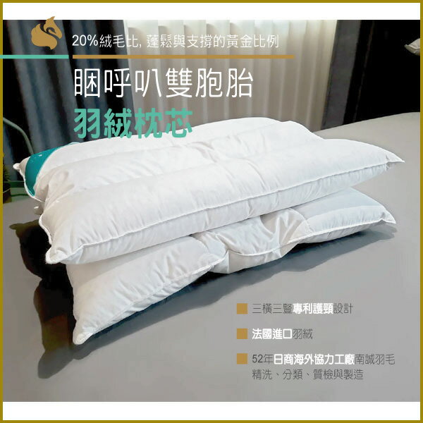 【南誠嚴選】睏呼叭[雙胞胎]羽絨枕芯 -三橫三豎專利護理-法國進口羽絨 -銷日寢具知名品牌質檢標準 -JIS認證