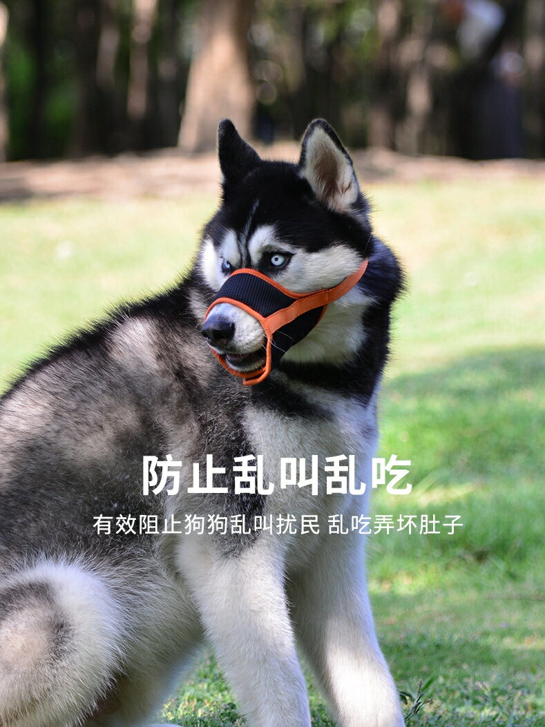 狗狗嘴套 TARKY泰基狗狗嘴套防咬防亂吃防叫嘴罩嘴巴套金毛邊牧小型犬口罩【MJ192501】