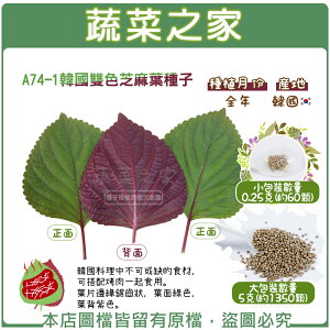 【蔬菜之家】A74-1.韓國雙色芝麻葉種子(共有2種包裝可選)