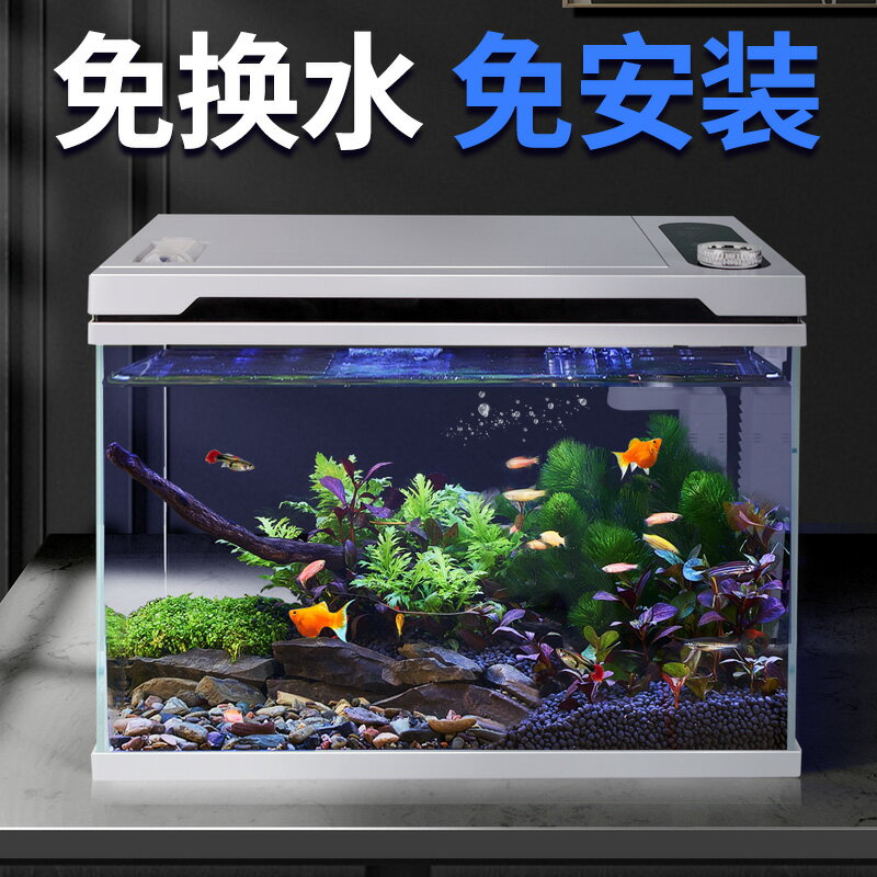 【臺灣公司 可開發票】魚樂多2025新款自動餵食智慧魚缸免換水恆溫除菌生