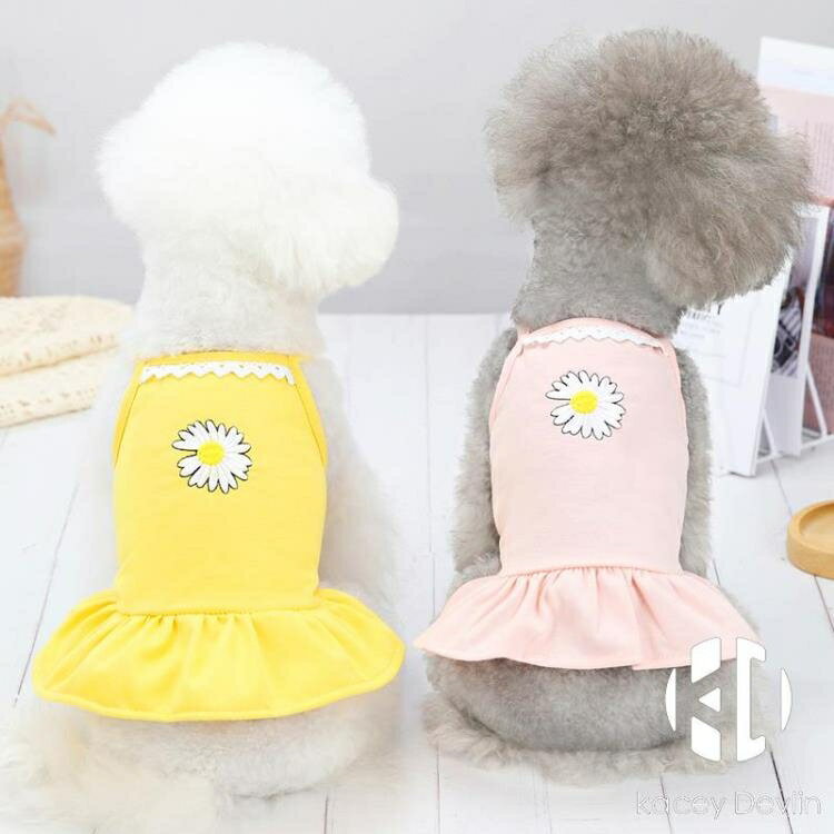 純棉寵物小型犬狗狗衣服泰迪公主裙子夏季薄款博美比熊雛菊吊帶裙【聚物優品】