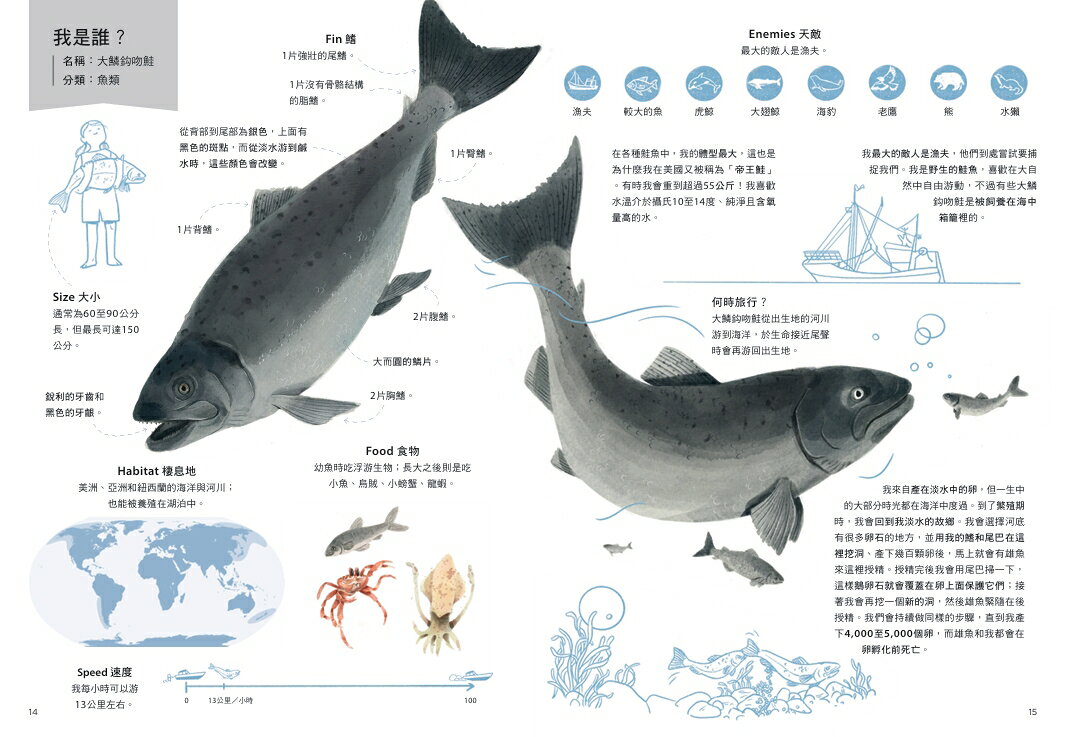 跟著動物去旅行〔動物繪本圖鑑3〕 3