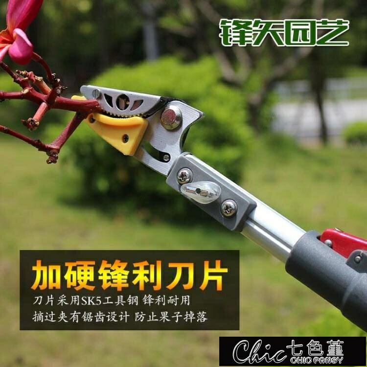 摘果器 高枝採果剪刀摘果器伸縮高枝剪高空採果剪琵琶荔枝芒