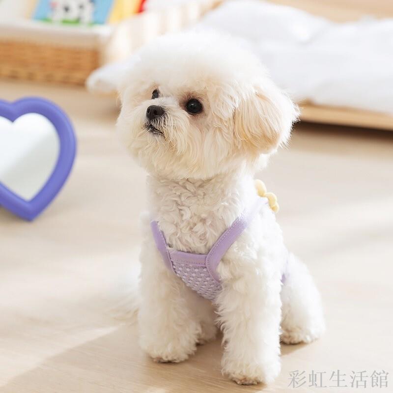 ✨韓版清新公主風立體小花牽引吊帶✨ 貓咪兩腳寵物 泰迪衣服 狗狗衣服 薄款背心 貓衣服 小狗背心 寵物防曬衣 防掉毛