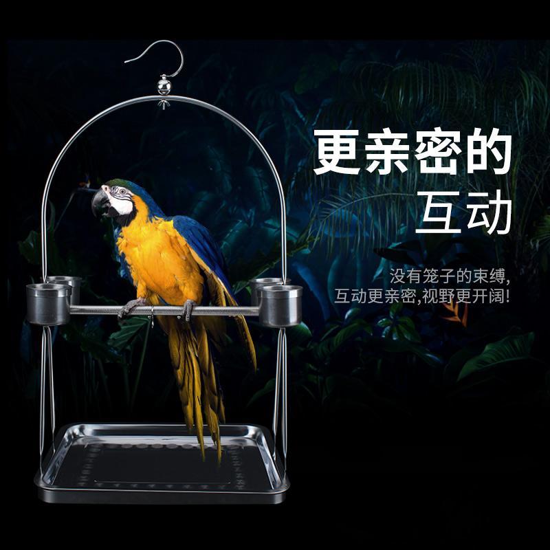 免運/可開票 快速出貨 不銹鋼鸚鵡站架中小型大型鳥架子玄鳳虎皮八哥鳥籠腳環腳鏈鳥鏈子 0