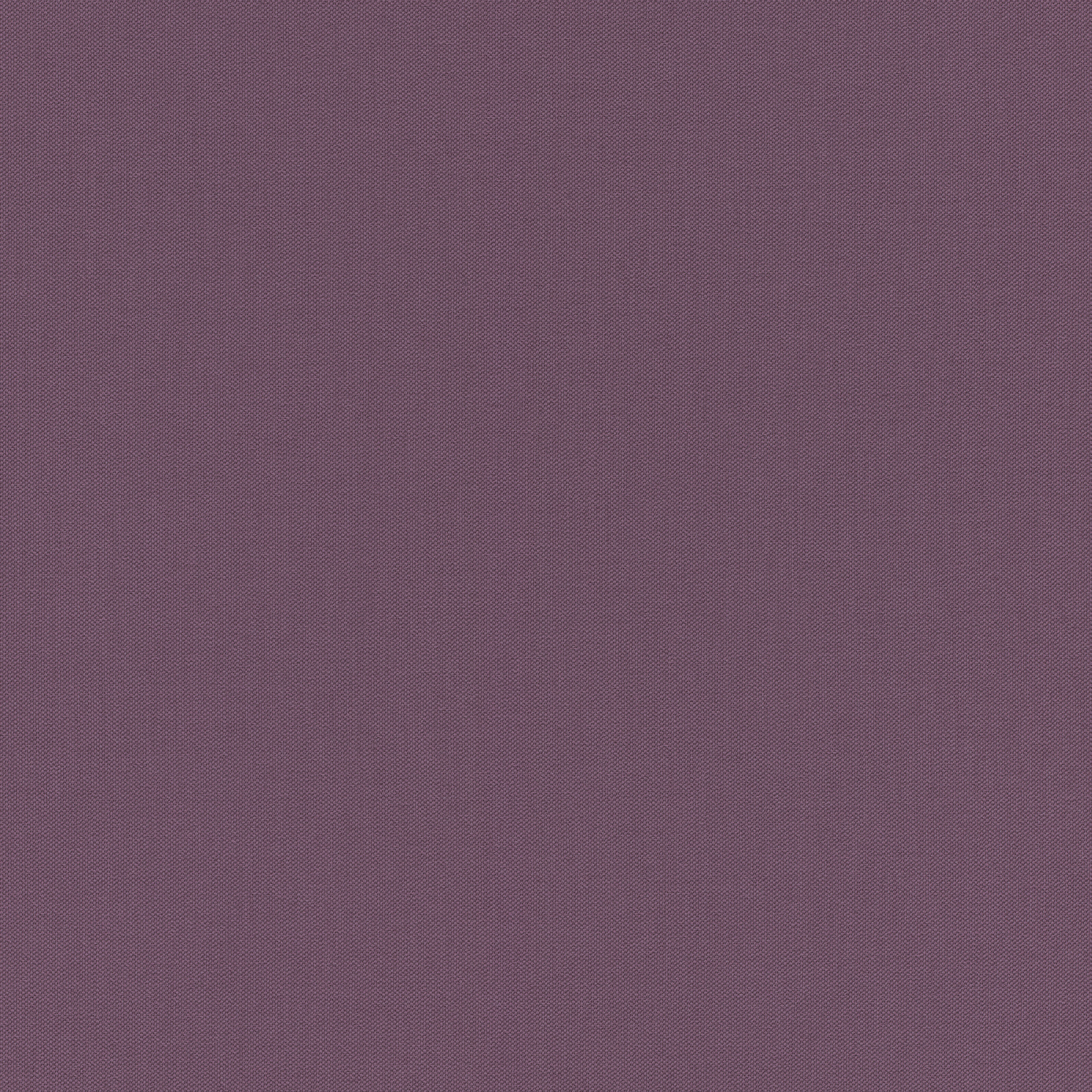 紫色素色壁紙rasch 德國壁紙 壁紙屋本舖 Rakuten樂天市場