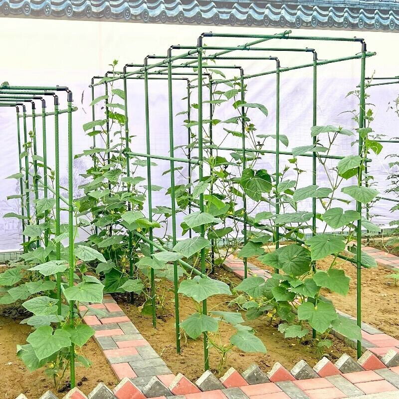 豆角黃瓜爬藤架 葡萄架 種菜花支架戶外庭院園藝包塑鋼管西紅柿支架
