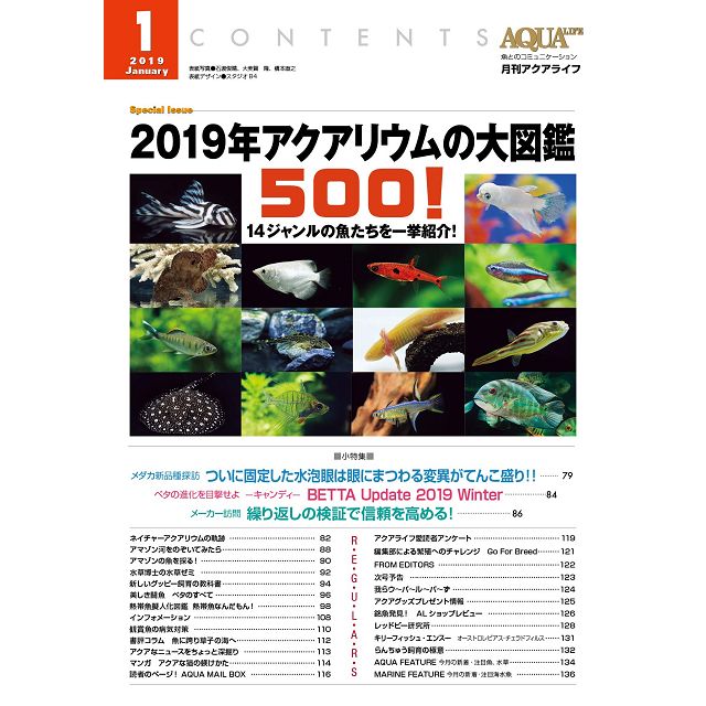 AQUALIFE1月號2019附月曆海報