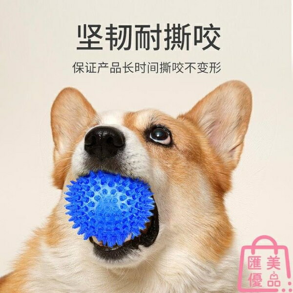 狗狗玩具磨牙耐咬寵物解悶發聲球狗咬大型犬【聚寶屋】