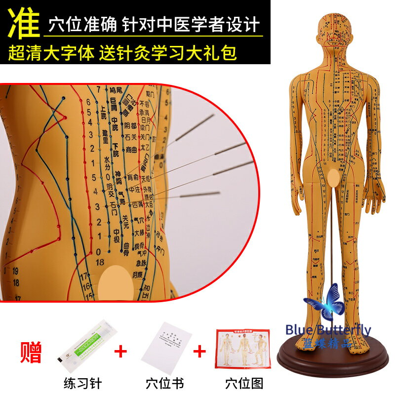 {可打統編 保固一年}針灸人體模型醫用扎針練習小皮人十二經絡穴位圖模特軟膠扎針練習 0