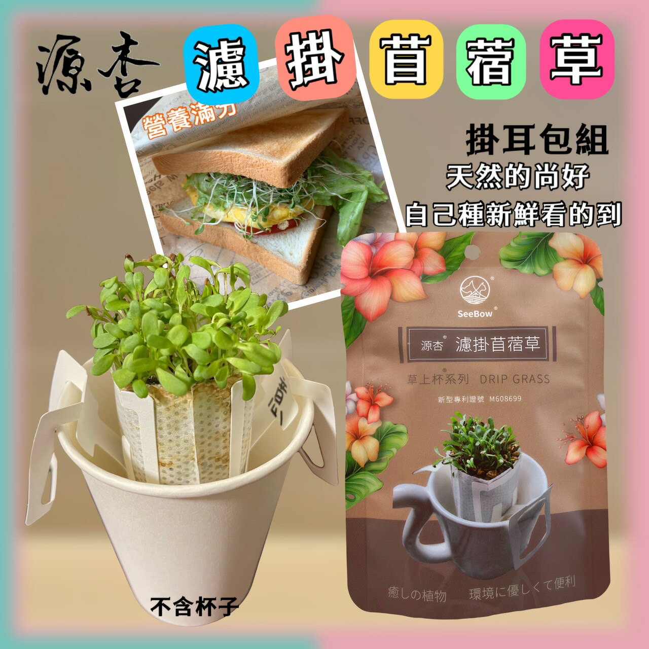 👍四寶的店👍草上杯 源杏 濾掛式苜蓿草 一包裝 精心挑選優質種子 DIY 辦公室 桌面 生態 蔬食 植物 交換禮物