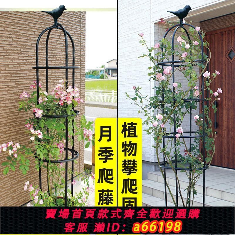 【臺灣公司 可開發票】花架爬藤架月季玫瑰鐵線蓮支架戶外陽臺支架鋼管包塑鐵藝