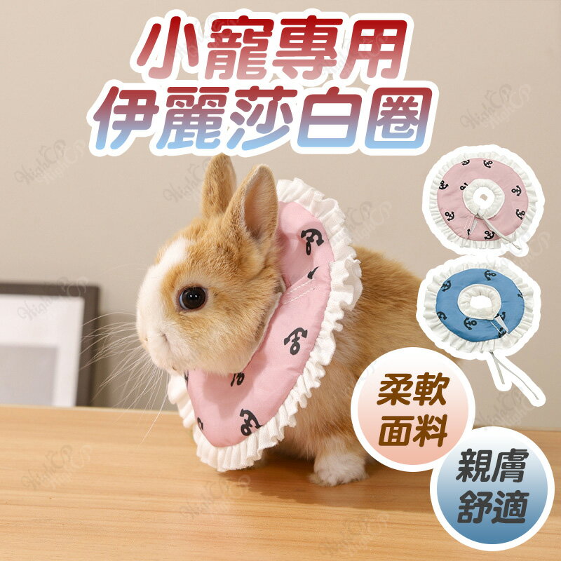 伊麗莎白圈 伊莉莎白圈 小寵用 防舔頭套 兔子頭套 項圈 小寵頭套 寵物項圈 頭套 防咬【241203】