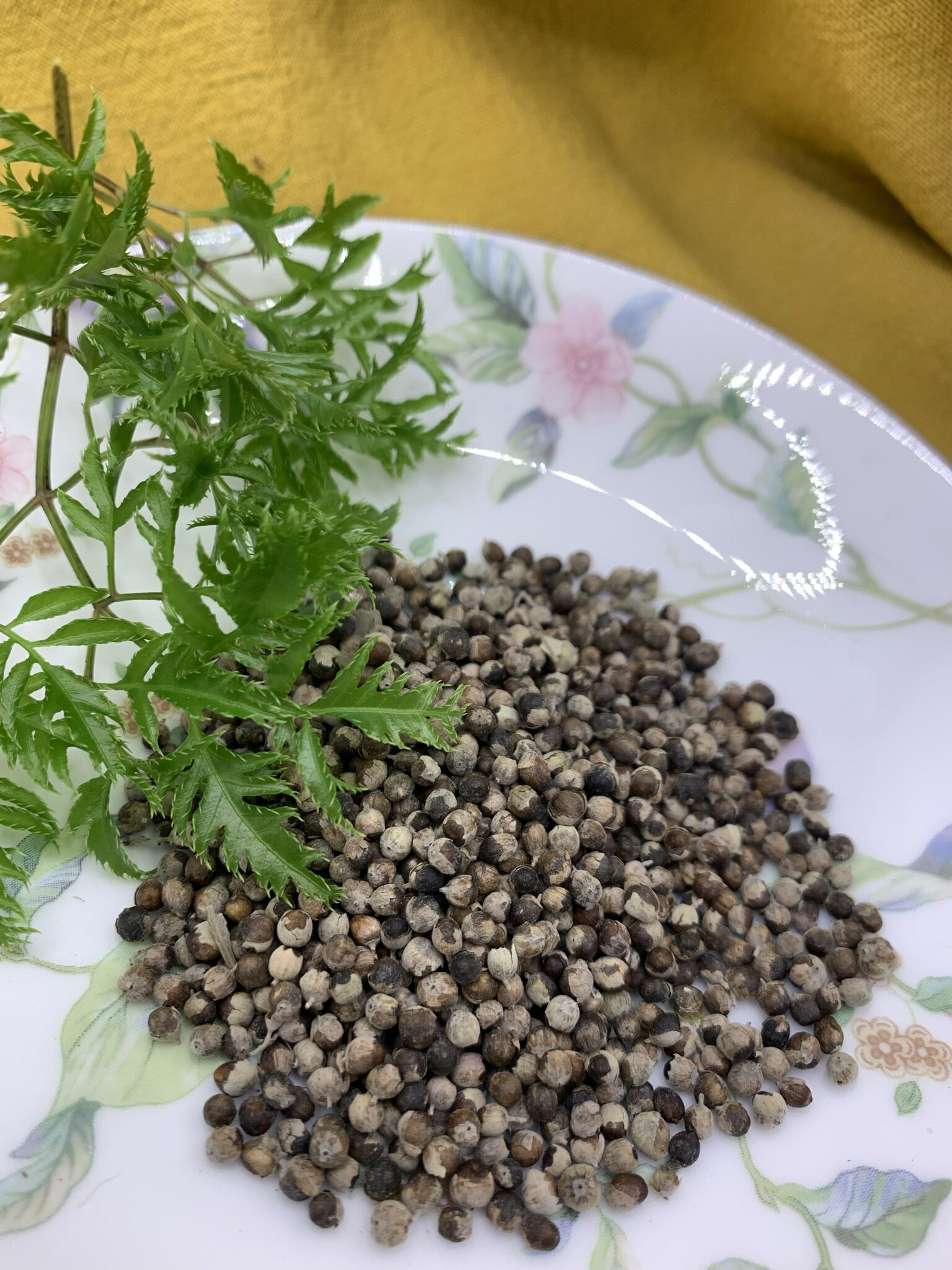 {薆田}貞潔果  Chaste Berry  乾燥花草 貞潔果純露 手工皂用 浸泡油材料 西洋花草 香料 花草茶 1
