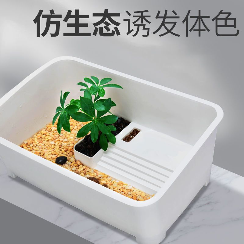 免運 烏龜缸 Yee專用烏龜養缸小烏龜缸帶曬臺養龜盆大烏龜缸寵物龜缸小型家用特惠/快速出貨MM095