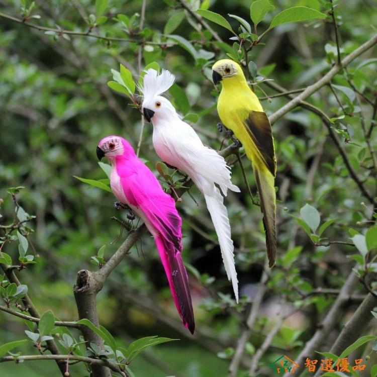 模擬鳥 模擬鸚鵡創意模擬鳥羽毛小鳥彩色擺件花園櫥窗裝飾道具工藝品掛件 快速出貨