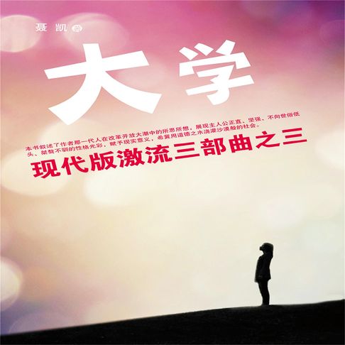 【有聲書】现代版激流三部曲（大学） 0