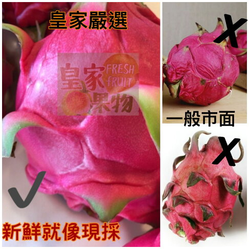 火龍果特級套袋大果試嚐箱6入一般箱/家庭箱10入一般箱/精緻禮盒6入附提袋/精緻禮盒8入附提袋【皇家果物】免運 1