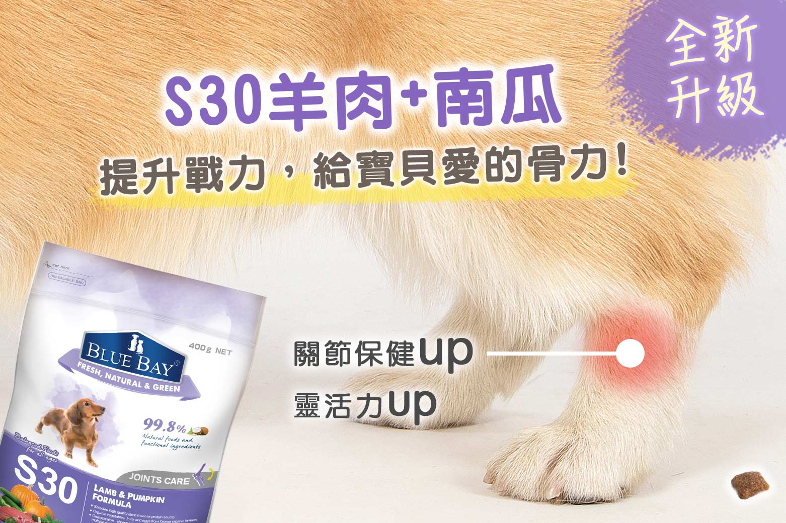 🚚現貨免運+寵物專用紙巾🧻 BLUE BAY 倍力S30【極緻全護低敏犬飼料】15kg 全齡犬 心血管/關節/低敏護膚 4