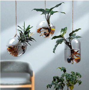懸掛式植物玻璃瓶花瓶水養培器皿掛牆花盆客廳盆景盆創意透明壁掛
