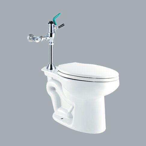 HCG單件式馬桶/30cm /C148-CF2637FE 0