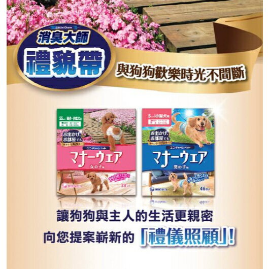 【日本嬌聯 禮貌帶 男生/女生 全系列】全尺寸 公狗禮貌帶 母狗禮貌帶 生理褲 尿布 2