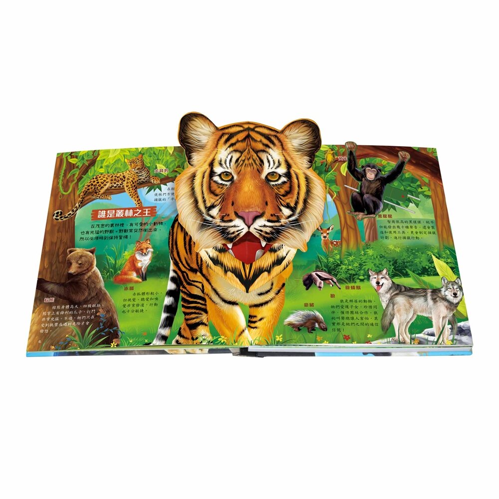 媽媽買 3D立體有聲書 華碩文化 有聲書 厚紙書 立體書 5