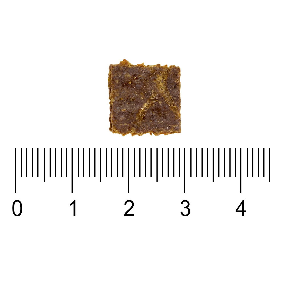 【SofyDOG】ZIWI巔峰 96%鮮肉狗糧 羊肚羊肉 1kg 狗飼料 狗主食 生食 風乾肉糧【APP下單天天10%點數回饋】 2