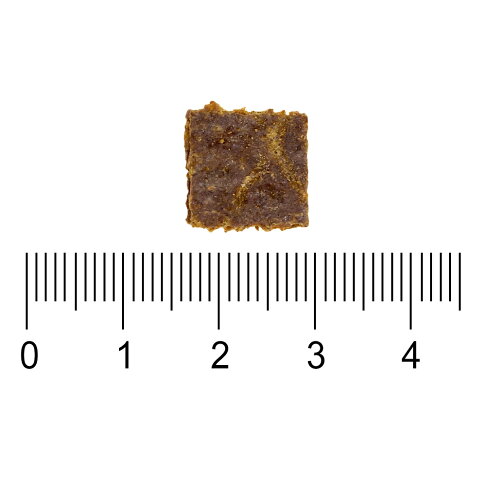 【SofyDOG】ZIWI巔峰 96%鮮肉狗糧 羊肚羊肉 1kg 狗飼料 狗主食 生食 風乾肉糧【APP下單天天10%點數回饋】 2