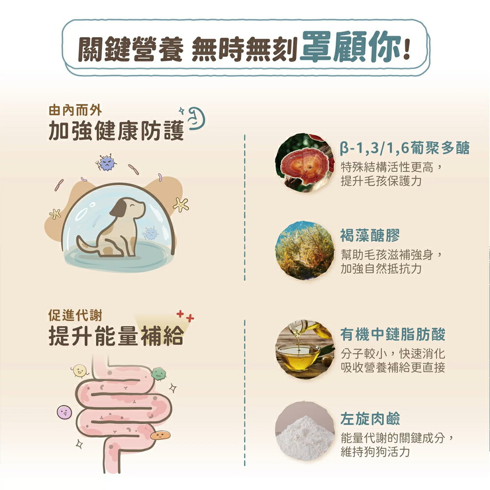 免運🚚倍力🌿全護低敏機能加強犬飼料 艷色護眼/褐藻防護/ 1.5kg/6.8kg 幼犬/成犬/老犬 全齡犬 飼料 8 免運🚚倍力🌿全護低敏機能加強犬飼料 艷色護眼/褐藻防護/ 1.5kg/6.8kg 幼犬/成犬/老犬 全齡犬 飼料 8