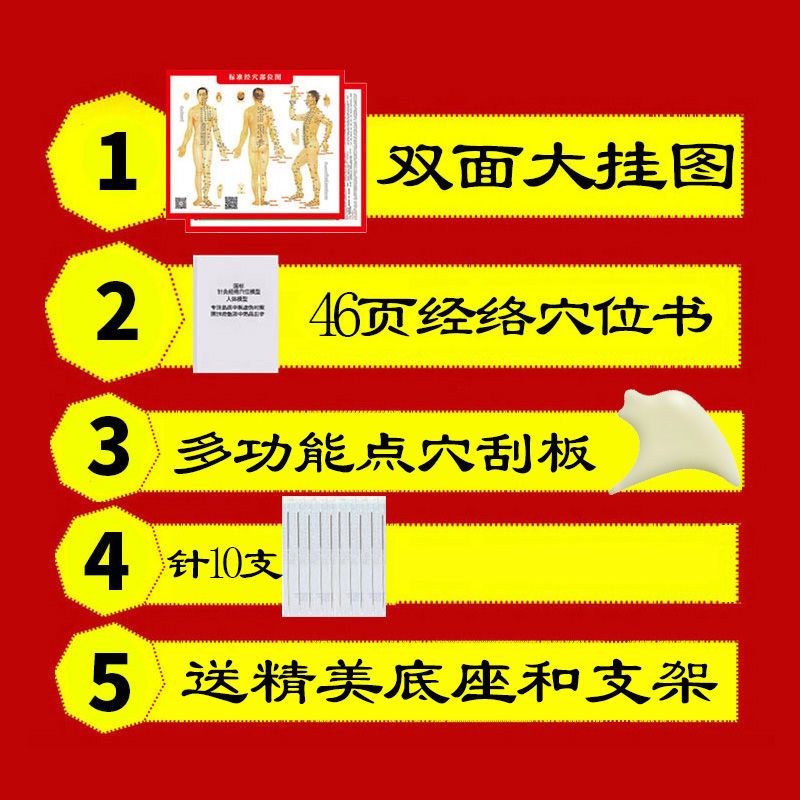 【最低價】【公司貨】人體模型中醫針灸穴位圖銅人男女全身十二經絡小皮人針灸穴位模型 1