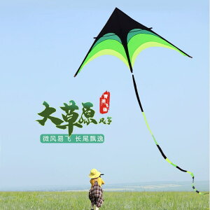風箏2022年新款 特技風箏風箏兒童專用20221新款長尾巴微風易飛新